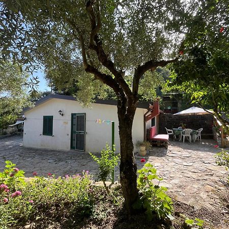 Casa Vacanze Alfano Ascea Kültér fotó