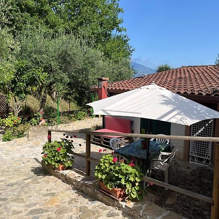 Casa Vacanze Alfano Ascea Kültér fotó