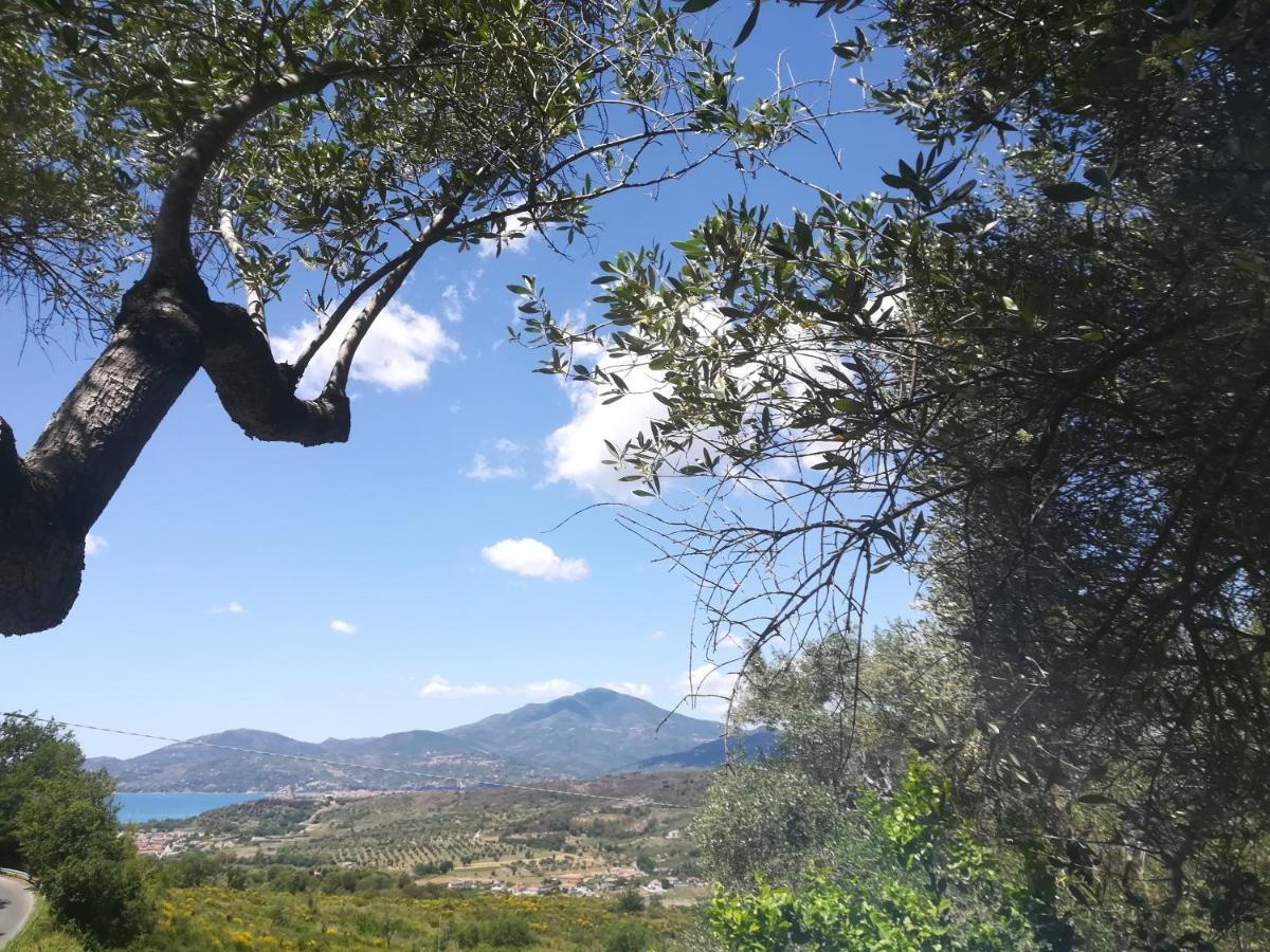 Casa Vacanze Alfano Ascea Kültér fotó