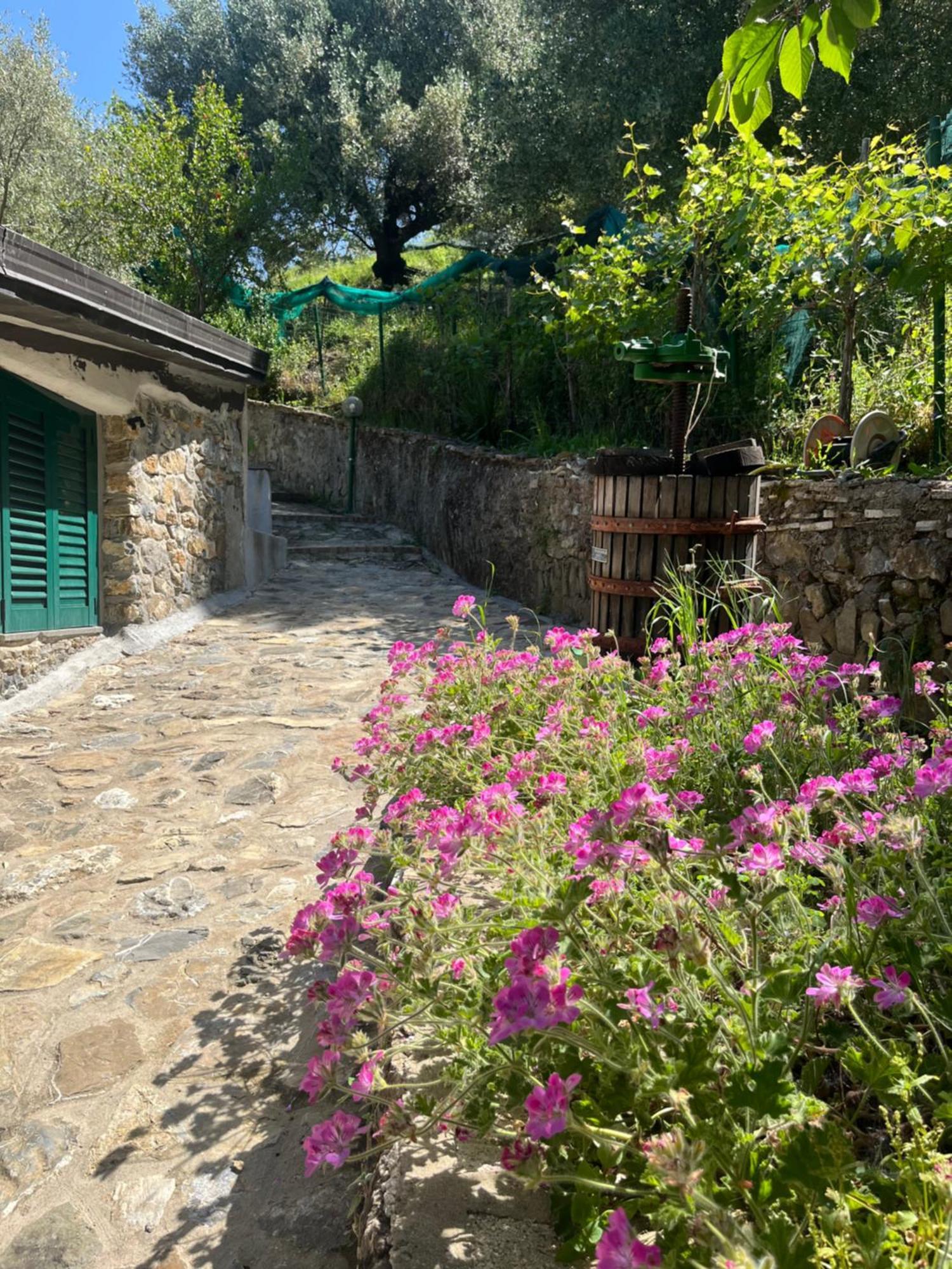 Casa Vacanze Alfano Ascea Kültér fotó
