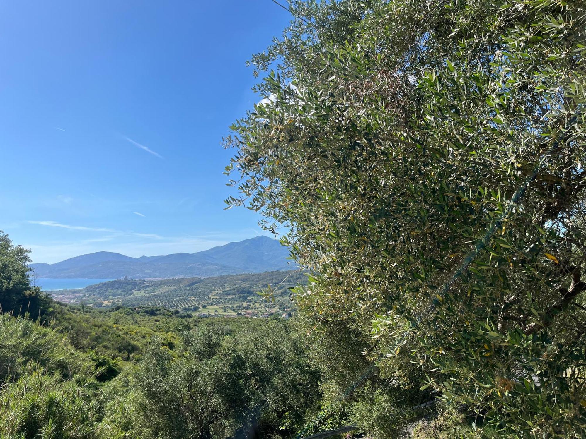 Casa Vacanze Alfano Ascea Kültér fotó