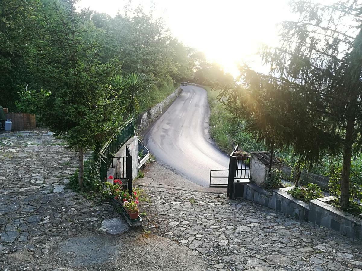 Casa Vacanze Alfano Ascea Kültér fotó